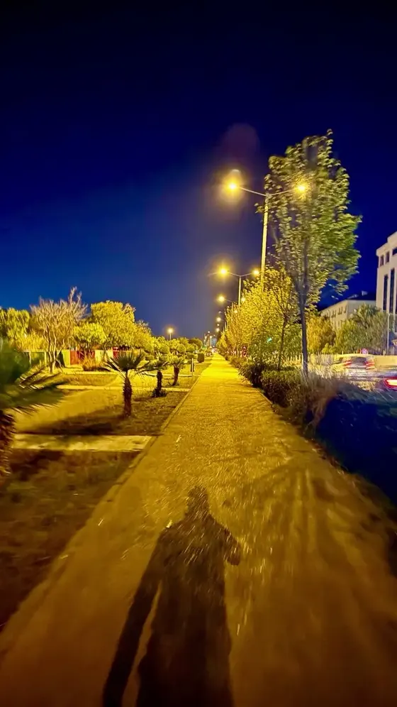 A shadow at night