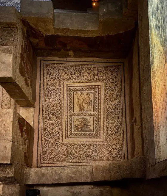 Another mosaic at Zeugma